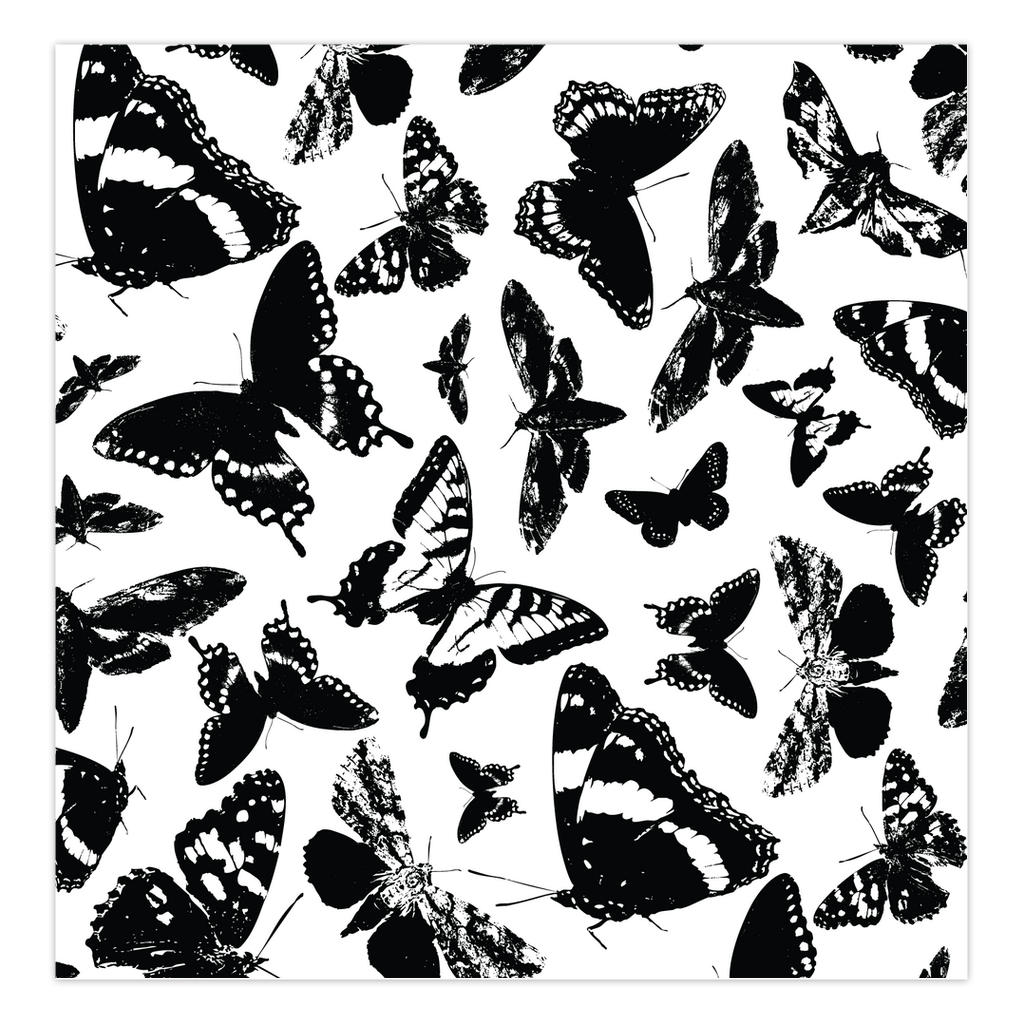 Black and White Butterfly Folded Greeting Card