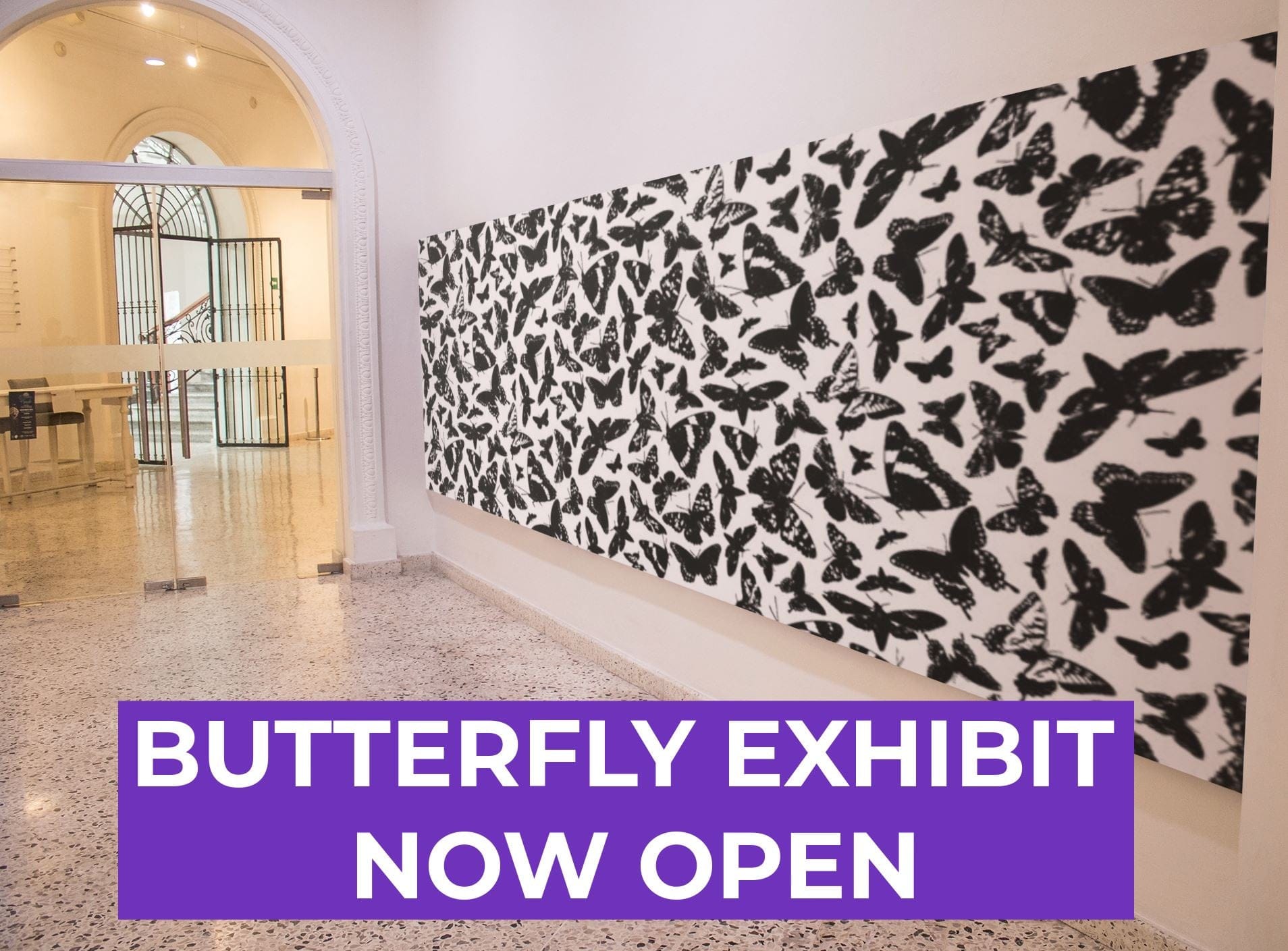 butterfly exhibit example for licensing designs and artwork to museums, zoos, aquariums and science centers