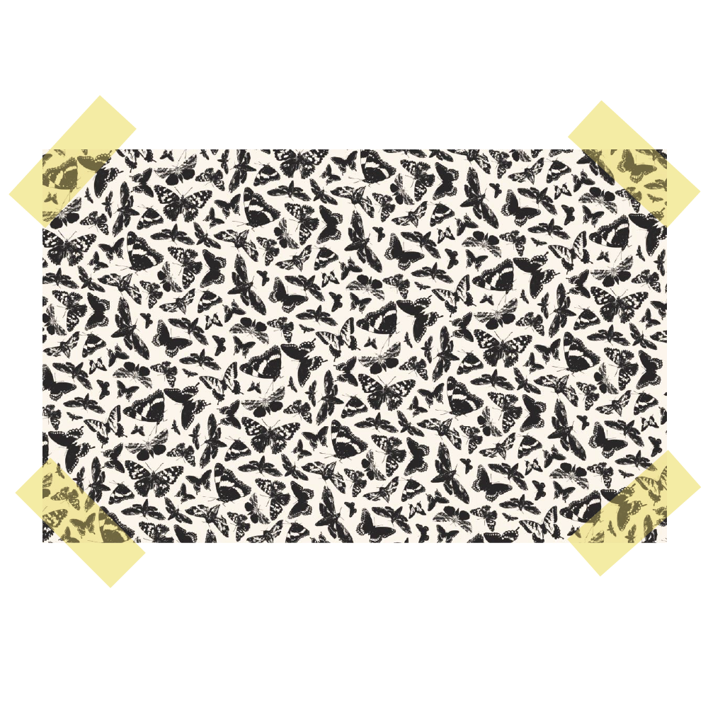 Entry No. 3: BUTTERFLIES // The Design Behind the Collection