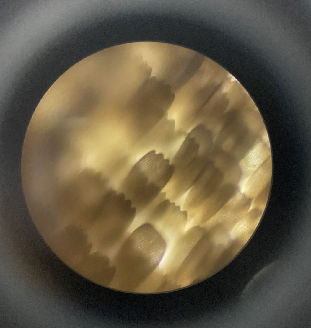 butterfly wing under a microscope
